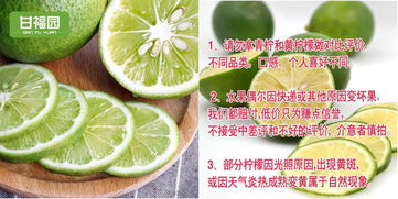产品的主图设计,小白也能做到高点击率